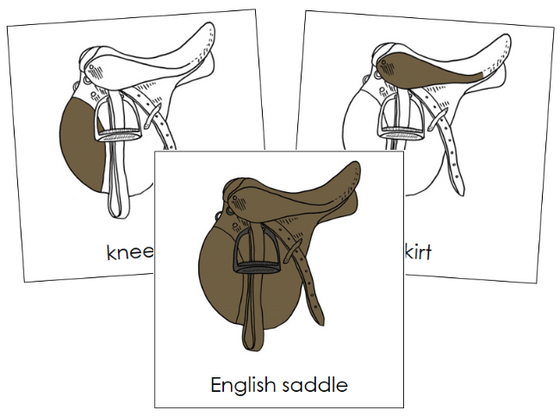 Parts of an English Saddle Nomenclature Cards - Montessori Print Shop Digital Download