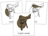 English Saddle Nomenclature Cards - Montessori Print Shop