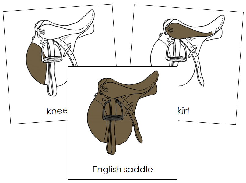 English Saddle Nomenclature Cards - Montessori Print Shop