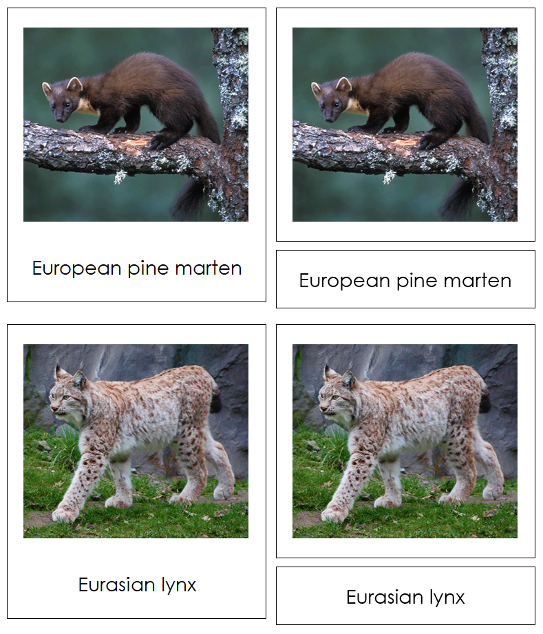 Animals of Europe 3-Part Cards - Montessori Print Shop Digital Download