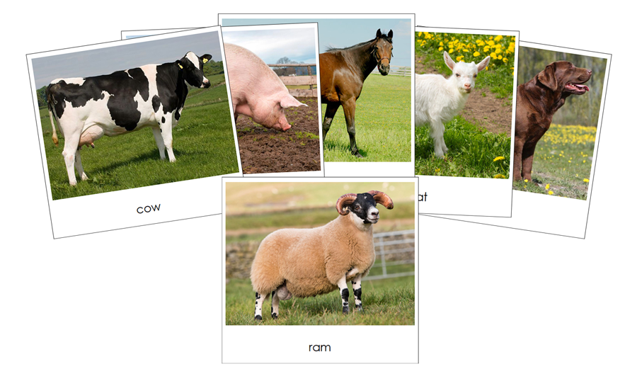 Farm - Safari Toob Cards - Montessori Print Shop Digital Download