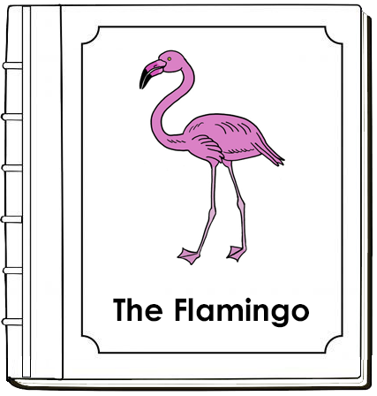Parts of a  Flamingo Nomenclature Book - Montessori Print Shop Digita