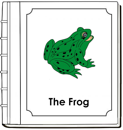 Parts of a Frog Nomenclature Book - Montessori Print Shop Digital Download