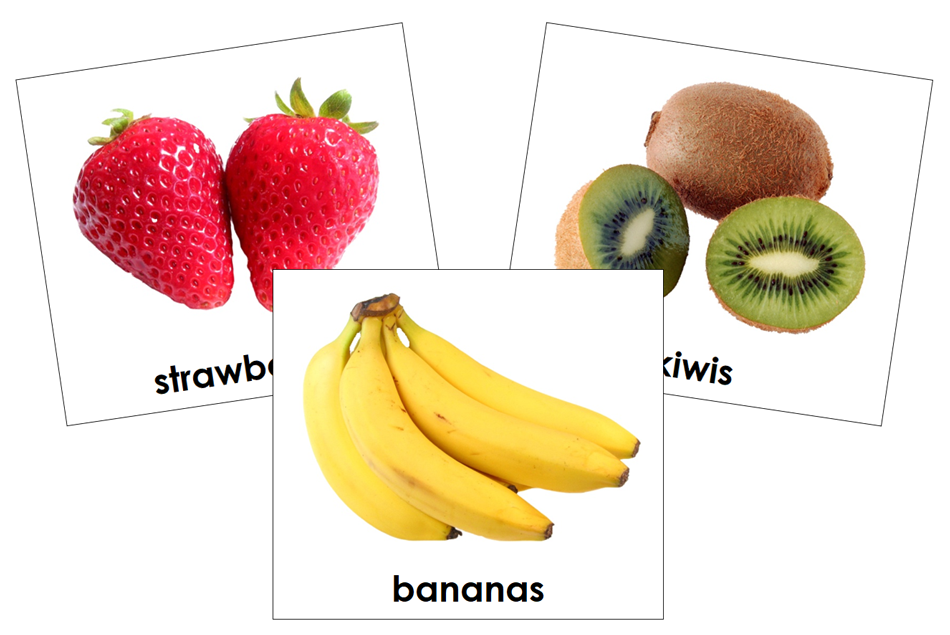 Types of Fruit Cards - Toddler Cards - Montessori Print Shop Digital Download