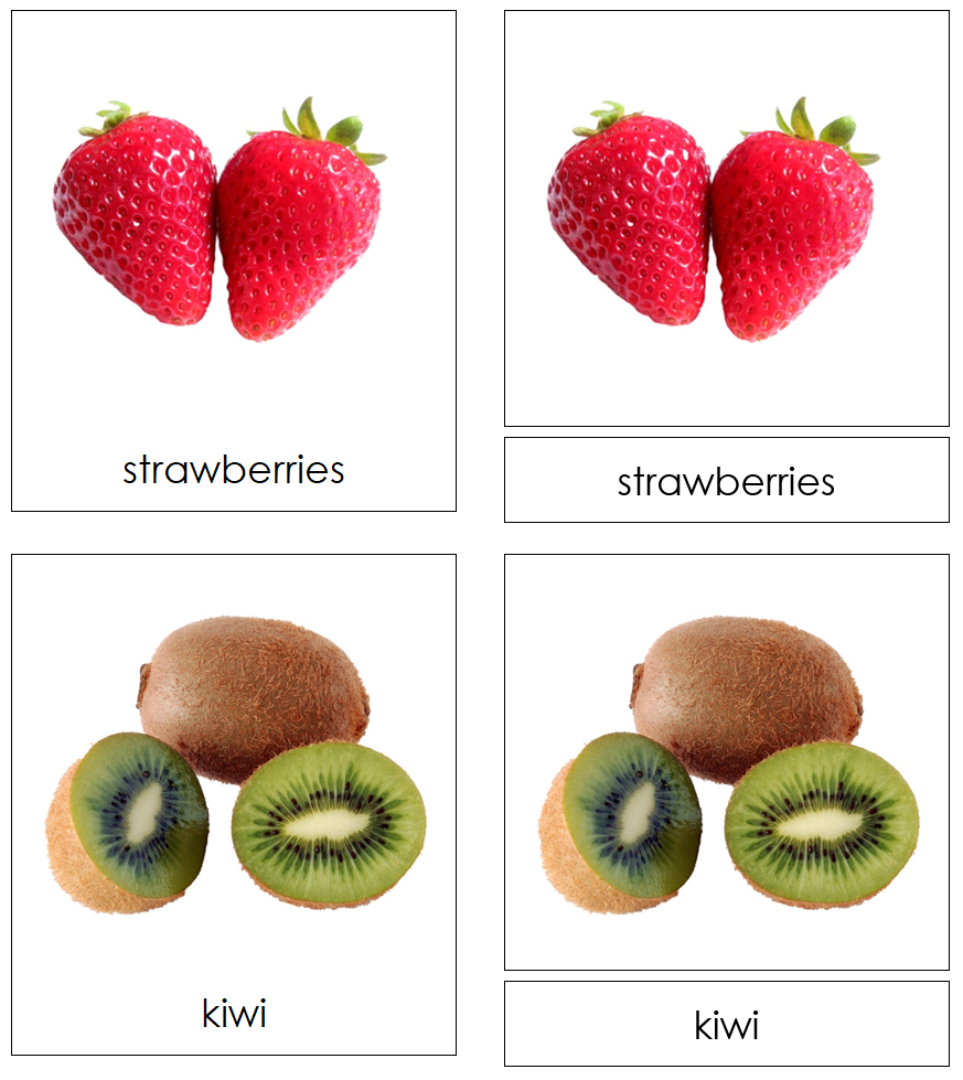 Types of Fruit 3-Part Cards - Montessori Print Shop Digital Download