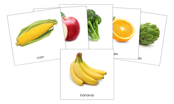 Fruits and Vegetables Safari Toob Cards - Montessori Print Shop Digital Download