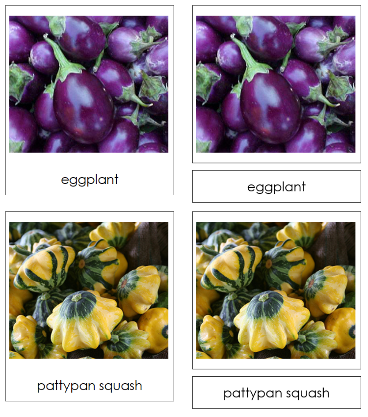 Types of Fruit Vegetables 3-Part Classified Cards - Montessori Print Shop Digital Download