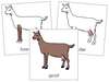 Goat Nomenclature Cards - Montessori Print Shop