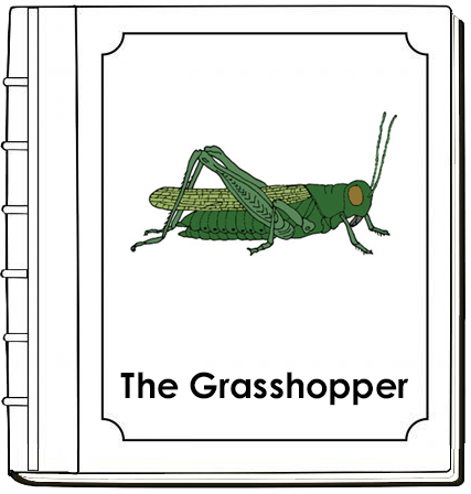 Parts of a Grasshopper Nomenclature Book - Montessori Print Shop Digital Download