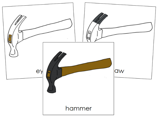 Parts of a Hammer Nomenclature Cards - Montessori Print Shop Digital Download
