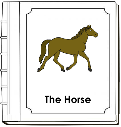 Parts of a Horse Nomenclature Book - Montessori Print Shop Digital Download