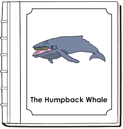 Parts of a Humpback Whale Nomenclature Book - Montessori Print Shop Digital Download