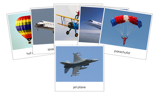 In The Sky - Safari Toob Cards - Montessori Print Shop Digital Download