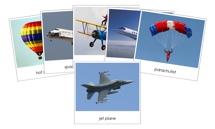 In The Sky - Safari Toob Cards - Montessori Print Shop Digital Download