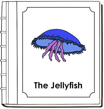 Parts of a Jellyfish Nomenclature Book - Montessori Print Shop Digital Download