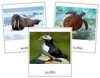 Marine Life 3-Part Cards - Montessori Print Shop