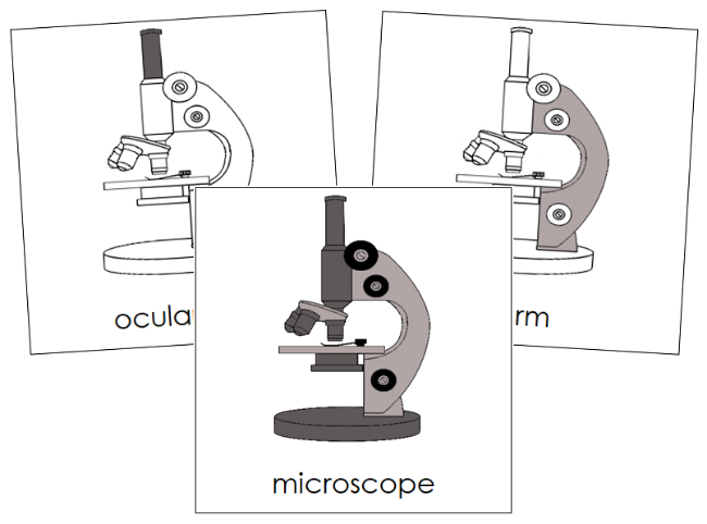 Parts of a Microscope Nomenclature Cards - Montessori Print Shop Digital Download