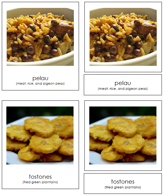 Foods of North America 3-Part Continent Cards - Montessori Print Shop Digital Download