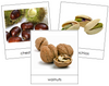 Nut Picture Cards - Montessori Print Shop