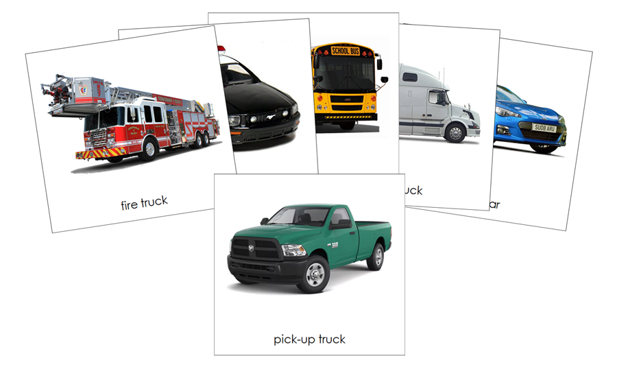 On The Road Safari Toob Cards - Montessori Print Shop Digital Download