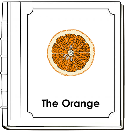 Parts of an Orange Nomenclature Book (red) - Montessori Print Shop Digital Download