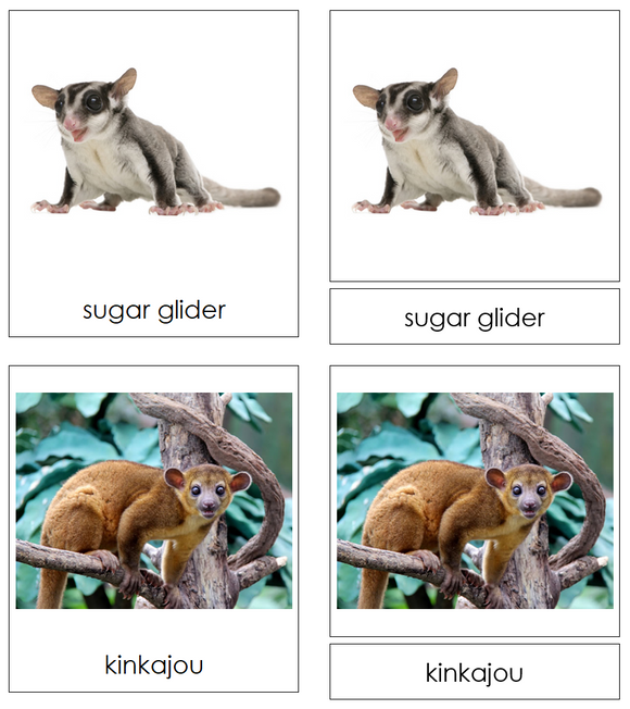 Types of Pets 3-Part Cards (Set 2) - Montessori Print Shop Digital Download