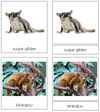 Pets - Set 2 - Montessori Print Shop