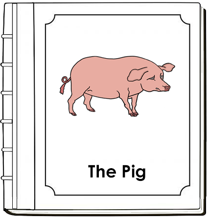 Parts of a Pig Nomenclature Book - Montessori Print Shop Digital Download