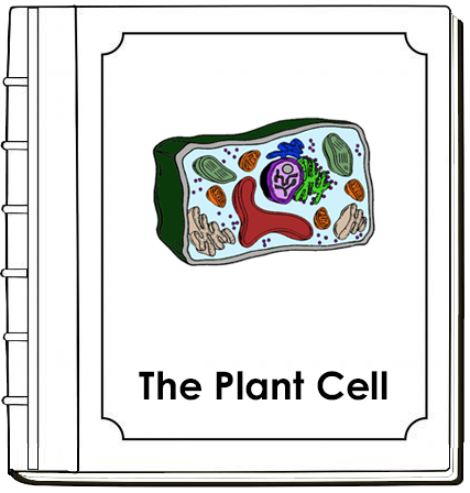 Plant Cell Nomenclature Book (red) - Montessori Print Shop Digital Download