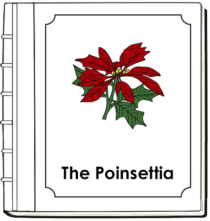 Parts of a Poinsettia Nomenclature Book (red) - Montessori Print Shop Digital Download
