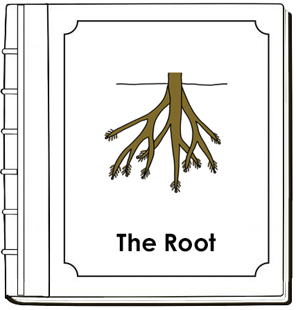 Parts of a Root Nomenclature Book (red) - Montessori Print Shop Digital Download