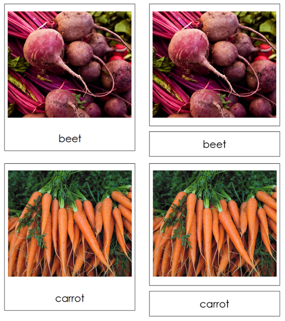 Types of Root Vegetables 3-Part Classified Cards - Montessori Print Shop Digital Download