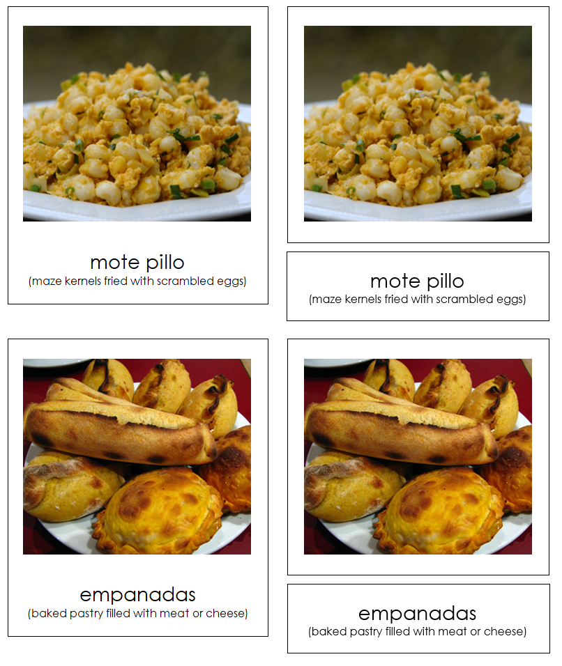 Foods of South America 3-Part Cards - Montessori Print Shop Digital Download