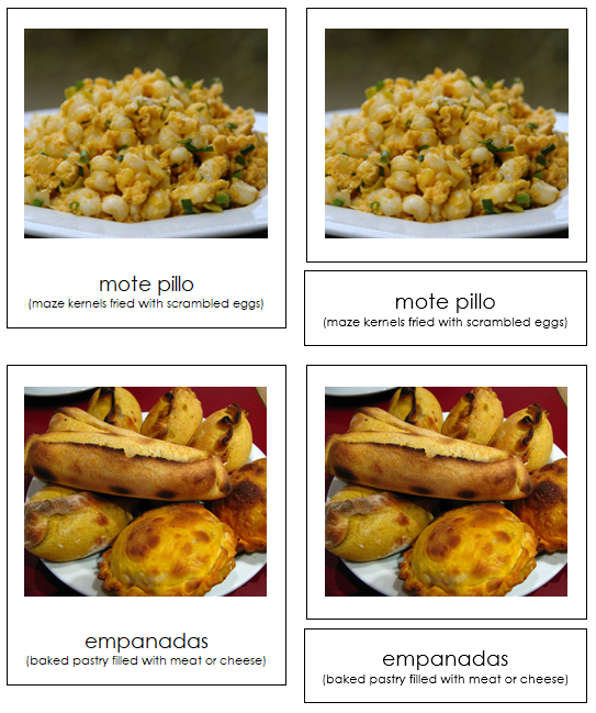 South American Food - Montessori Print Shop Digital Download continent study