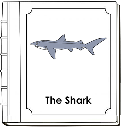 Parts of a Shark Nomenclature Book - Montessori Print Shop Digital Download