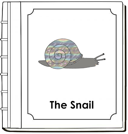 Parts of a Snail Nomenclature Book - Montessori Print Shop Digital Download