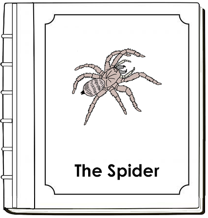Parts of a Spider Nomenclature Book - Montessori Print Shop Digital Download