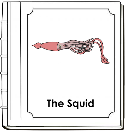 Parts of a Squid Nomenclature Book - Montessori Print Shop Digital Download