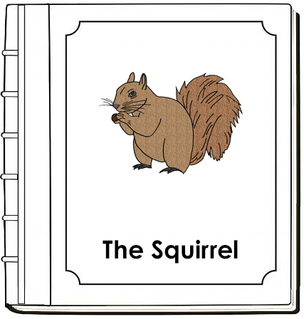 Parts of a Squirrel Nomenclature Book - Montessori Print Shop Digital Download