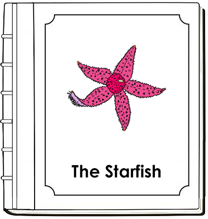 Parts of a Starfish Nomenclature Book - Montessori Print Shop Digital Download
