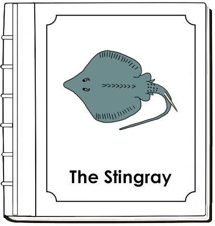Parts of a Stingray Nomenclature Book - Montessori Print Shop Digital Download