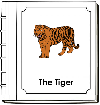 Parts of a Tiger Nomenclature Book - Montessori Print Shop Digital Download
