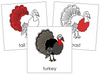 Turkey Nomenclature Cards (red) - Montessori Print Shop