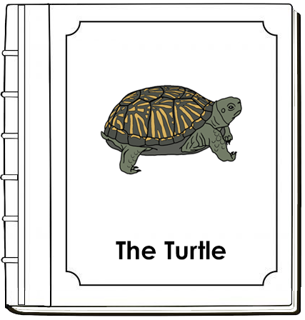 Parts of a Turtle Nomenclature Book - Montessori Print Shop Digital Download