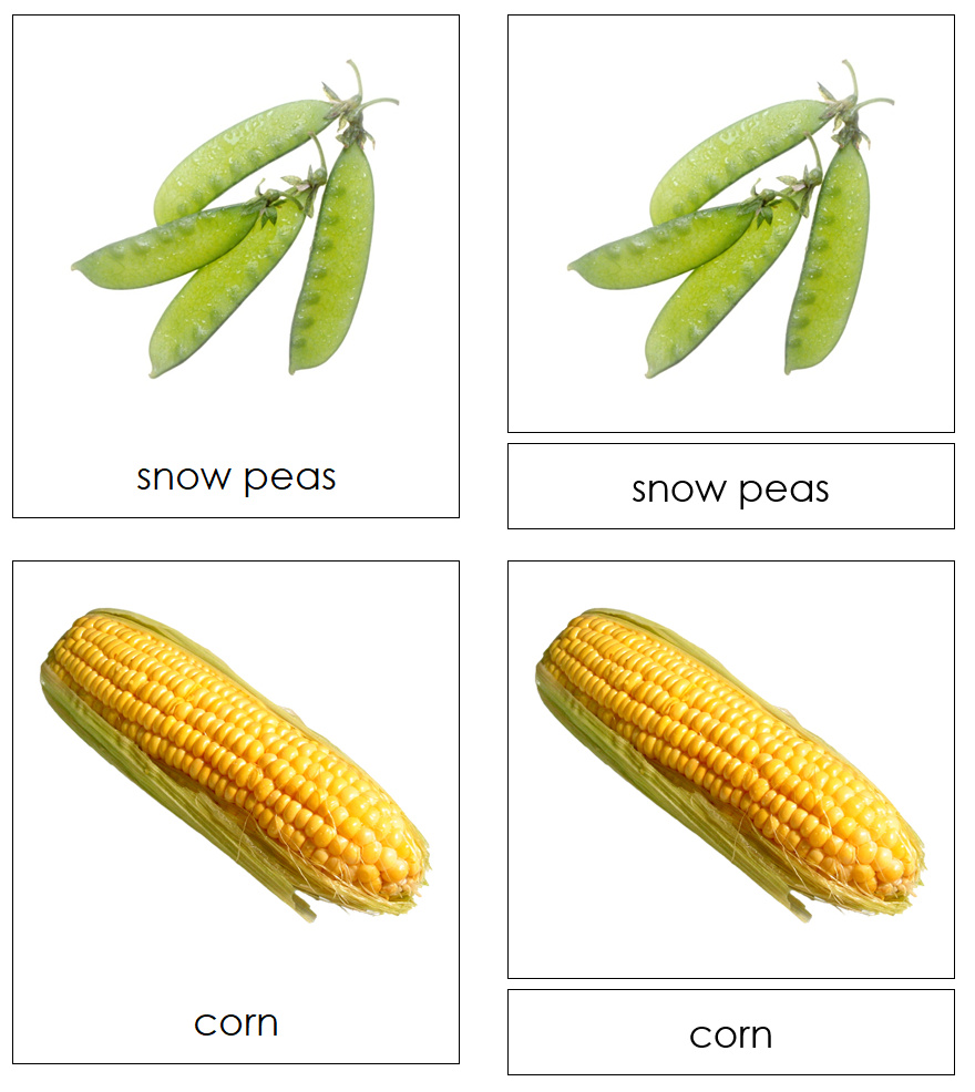 Types of Vegetables 3-Part Cards - Montessori Print Shop Digital Download