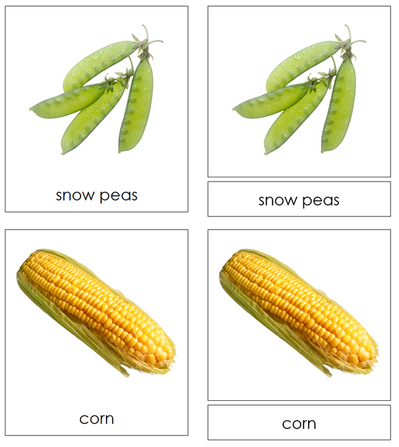 Types of Vegetables 3-Part Cards - Montessori Print Shop Digital Download