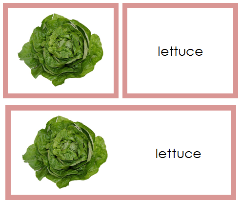 Vegetable Words & Picture Cards - Montessori Print Shop