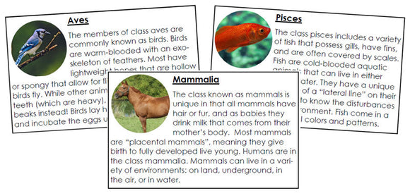 Vertebrate Information Cards - Montessori Print Shop