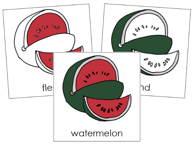 Watermelon Nomenclature Cards - Montessori Print Shop Digital Download