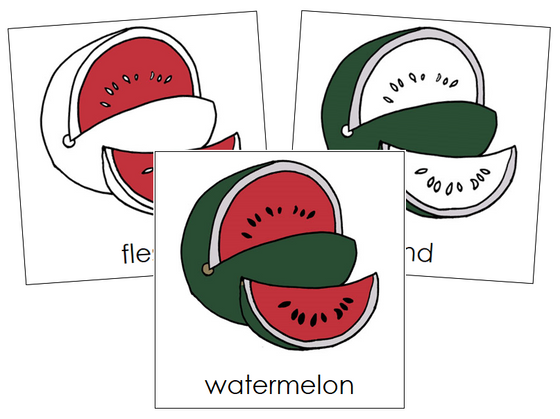 Watermelon Nomenclature Cards - Montessori Print Shop